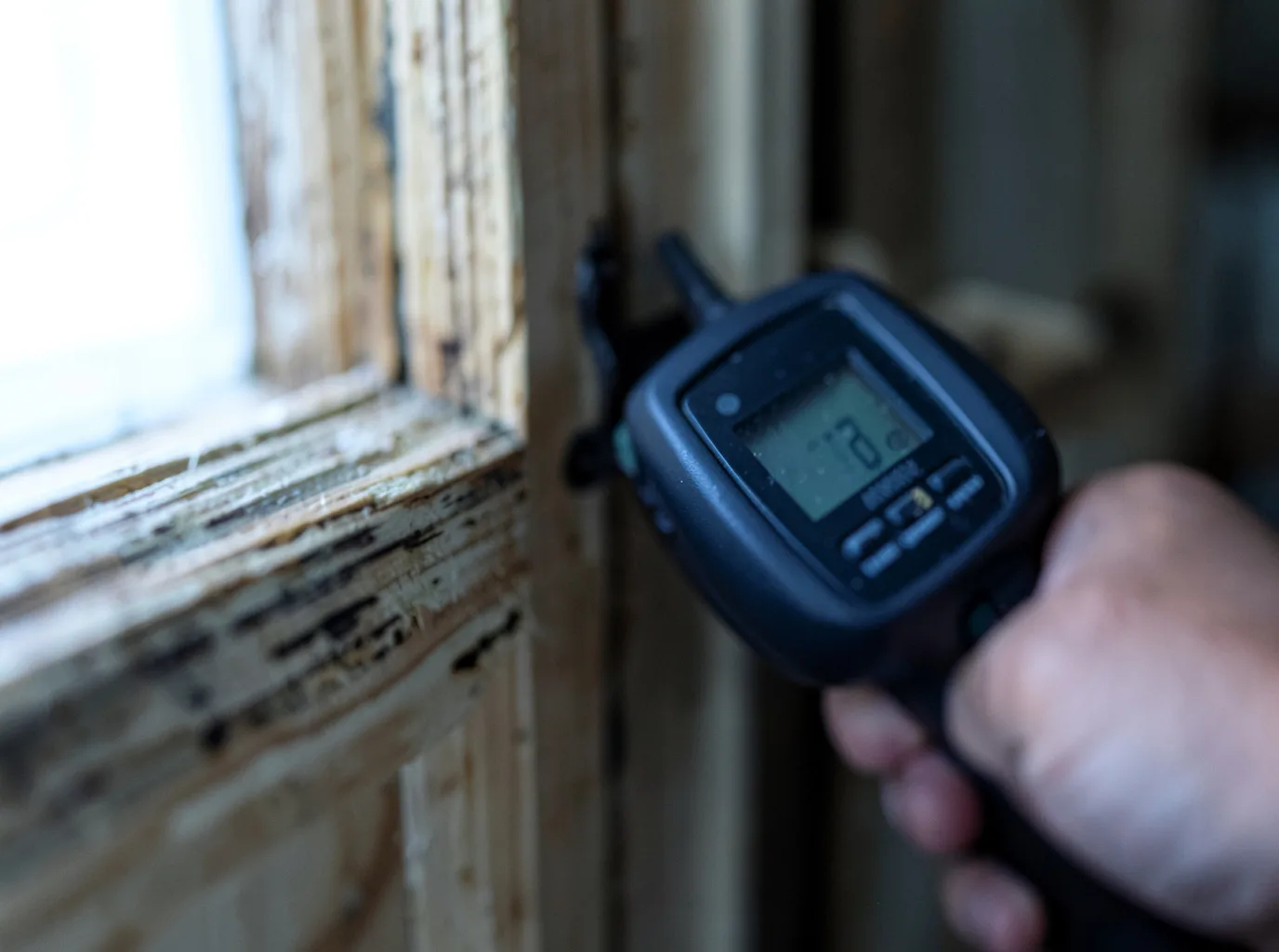 Water Damage Restoration Edgewater, FL FAQs
